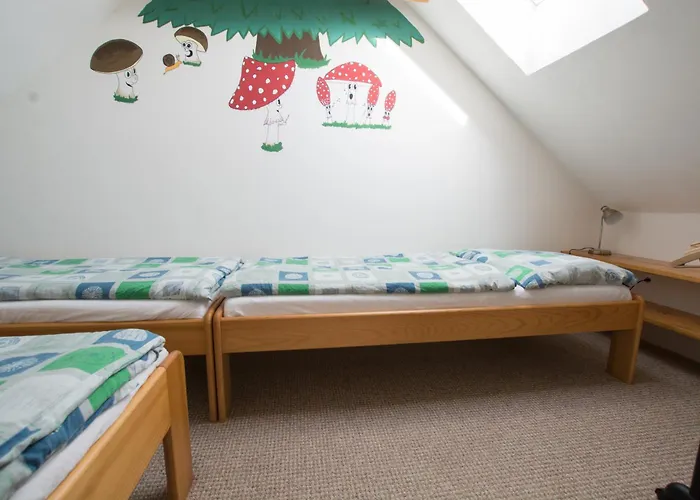 Casa vacanze U Rozmberka Trebonsko *