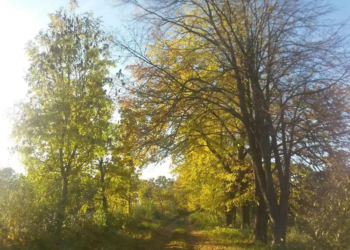 度假居 U Rozmberka Trebonsko *